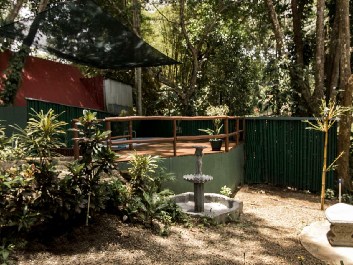 Casa Tucanes Мануэль-Антонио Экстерьер фото